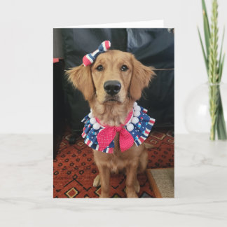 Golden Retriever patriotic, 4:e juli hälsning Tack Kort