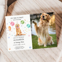 Golden Retriever Pawty Hund Valp Födelsedag Blå