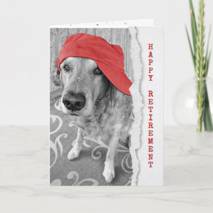 Golden Retriever Pension Kort