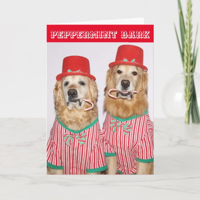 Golden Retriever Peppermint Bark Kort (Framsida)