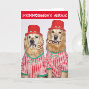 Golden Retriever Peppermint Bark Kort
