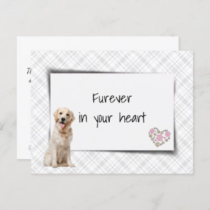 Golden Retriever Pet Sympathy Loss Vykort