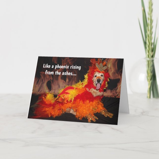 Golden Retriever Phoenix Stigning bra Kort (Framsida)