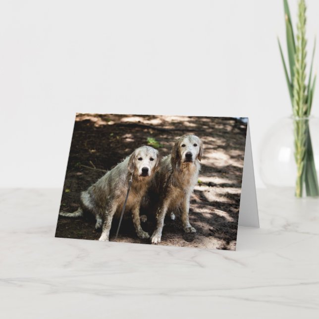 Golden Retriever Photo Card Kort (Framsida)