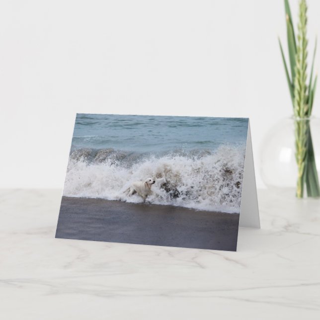 Golden Retriever Photo Card Kort (Framsida)