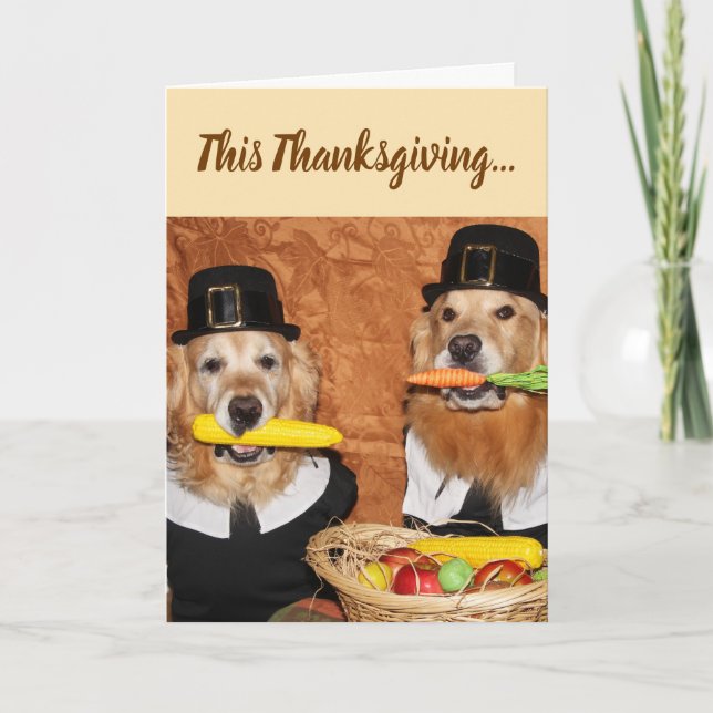 Golden Retriever Pilgrims Bounty-Thanksgiving Kort (Framsida)