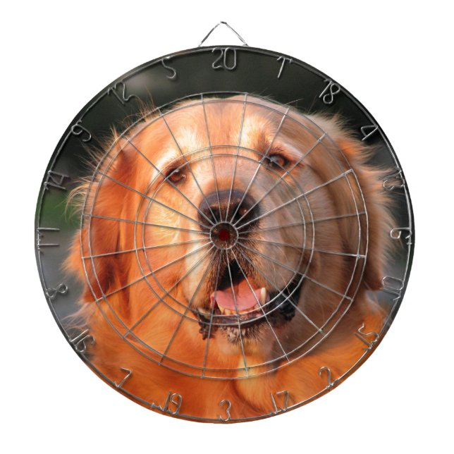 Golden Retriever Piltavla (Framsidan)