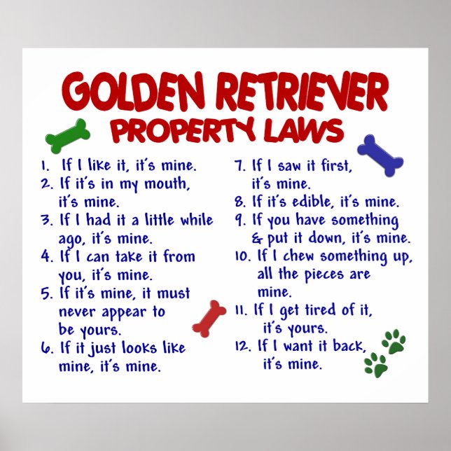 GOLDEN RETRIEVER PL2 POSTER (Framsidan)
