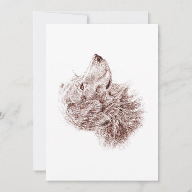 Golden Retriever Platt Kort (Framsida)