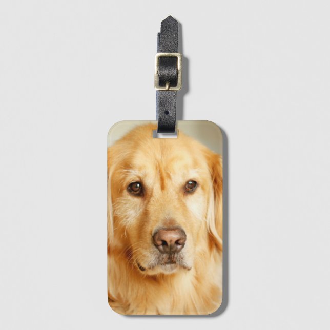 Golden Retriever Porträtt Bagagebricka (Framsida vertikal)