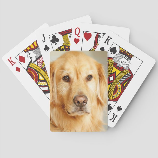 Golden Retriever Porträtt Casinokort (Baksidan)