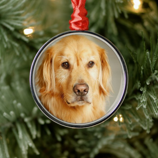 Golden Retriever Porträtt Julgransprydnad Metall (Träd)
