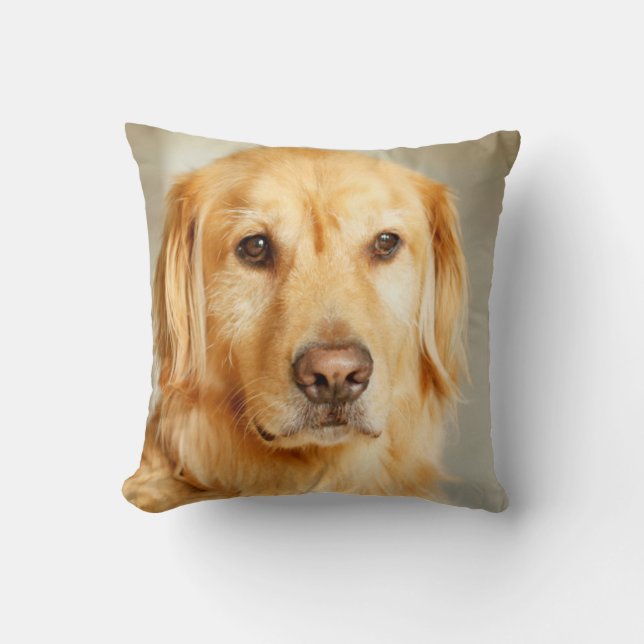 Golden Retriever Porträtt Kudde (Framsida)