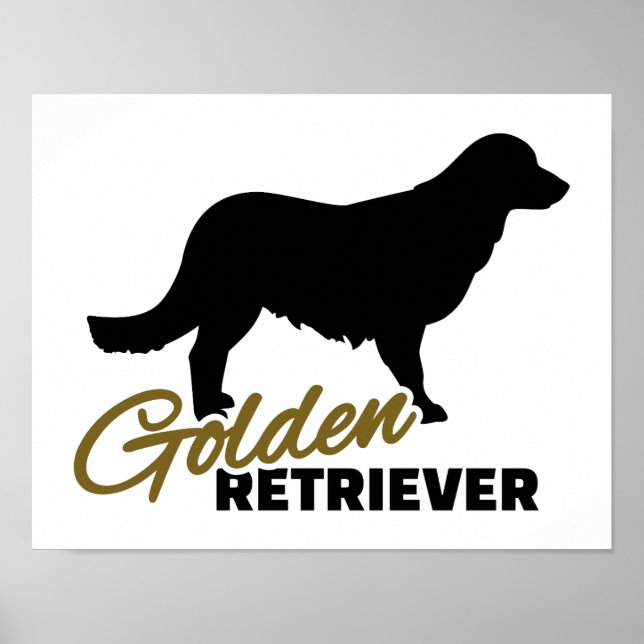 Golden Retriever Poster (Framsidan)