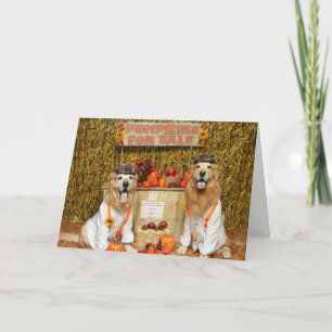 Golden Retriever Pumpkin stand Halloween Kort