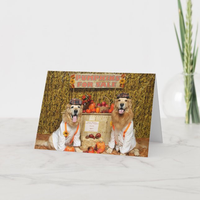 Golden Retriever Pumpkin stand Halloween Kort (Framsida)