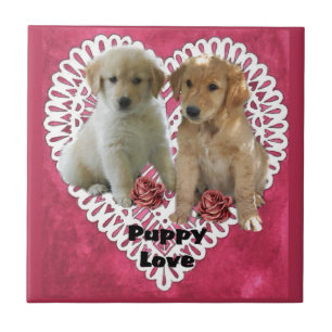 Golden Retriever Puppies-Valentineser Kakelplatta