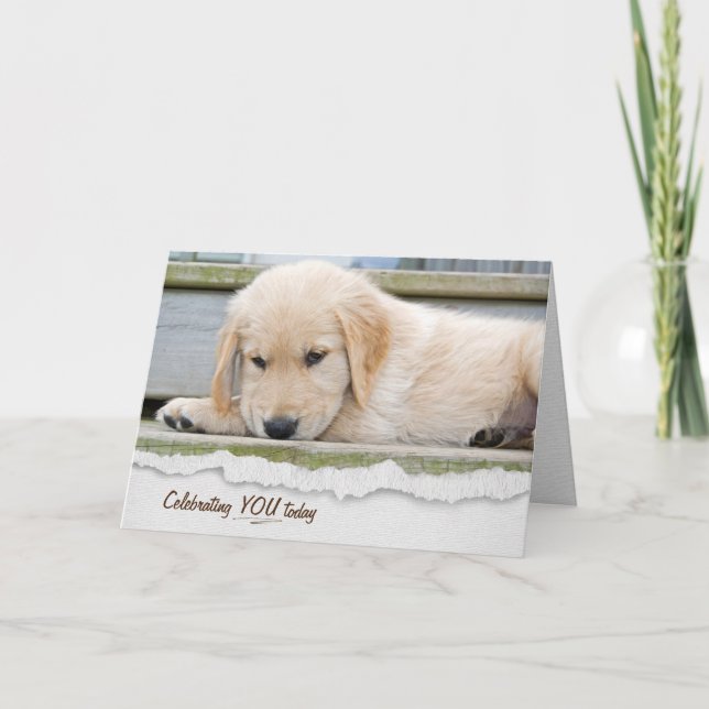 Golden Retriever Puppy Birthday Kort (Framsida)