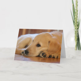 Golden Retriever Puppy Blank Inside Kort