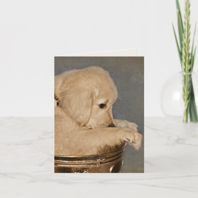 Golden Retriever Puppy Blank Notecard Kort (Framsida)