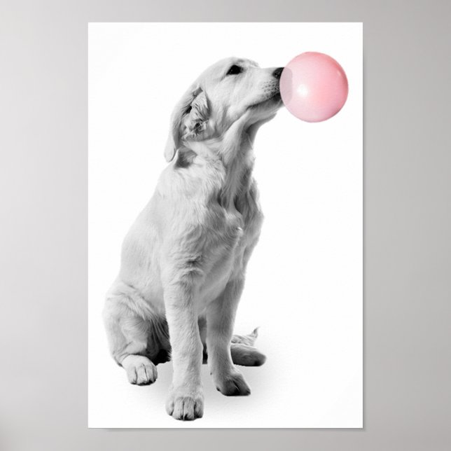 Golden Retriever Puppy Bubble Nursery Child Poster (Framsidan)