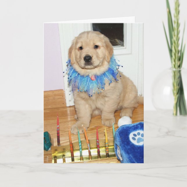 Golden Retriever Puppy Hanukkah Blessings Helgkort (Framsida)