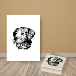 Golden Retriever Puppy Hund aveln Head Stämpel
