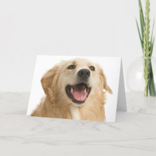 Golden Retriever Puppy Hund Blank Hälsning Notecar Kort