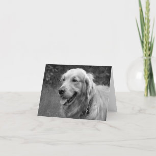 Golden Retriever Puppy Hund Blank Kort