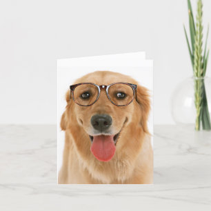 Golden Retriever Puppy Hund Blank Kort