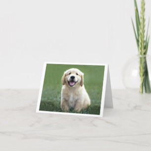 Golden Retriever Puppy Hund Blank Kort