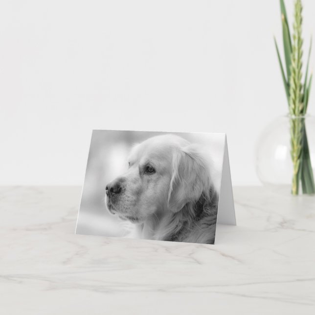 Golden Retriever Puppy Hund Blank Notecard Kort (Framsida)
