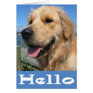 Golden Retriever Puppy Hund Blank OBS Kort