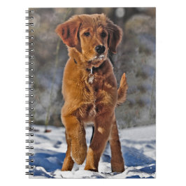 Golden Retriever Puppy Hund i snö Anteckningsbok