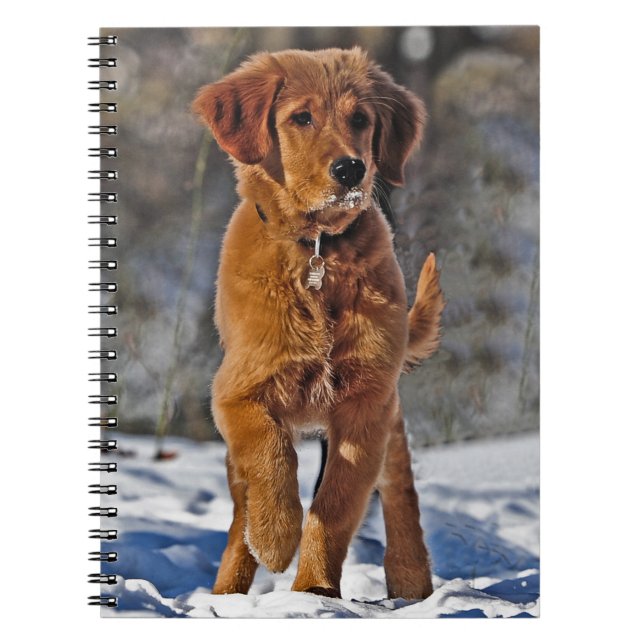 Golden Retriever Puppy Hund i snö Anteckningsbok (Framsidan)