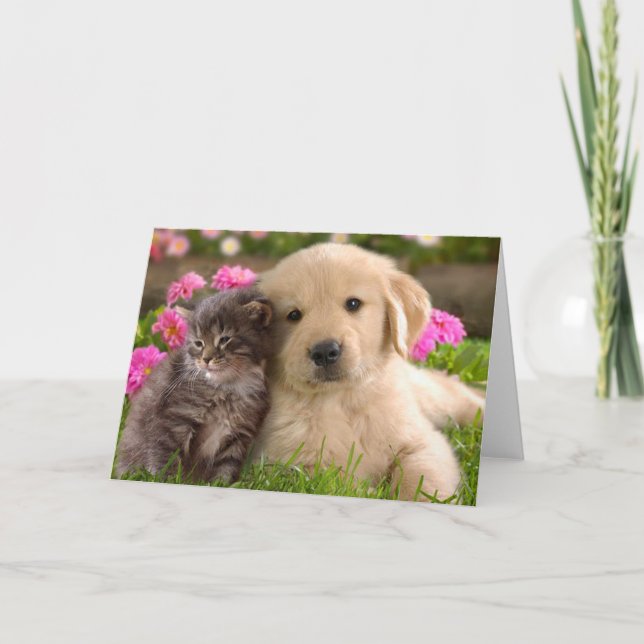 Golden Retriever Puppy Hund & Kitten Kärlek Kort (Framsida)