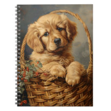 Golden Retriever Puppy i Basket