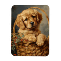 Golden Retriever Puppy i Basket Flexible