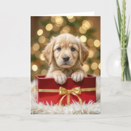 Golden Retriever Puppy i julboxen Helgkort