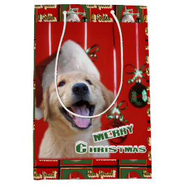 Golden Retriever Puppy-jul