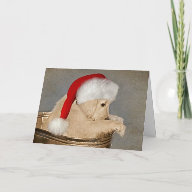 Golden Retriever Puppy-jul Kort (Framsida)