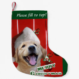 Golden Retriever Puppy-jul Liten Julstrumpa