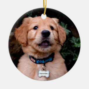 Golden Retriever Puppy Julgransprydnad Keramik