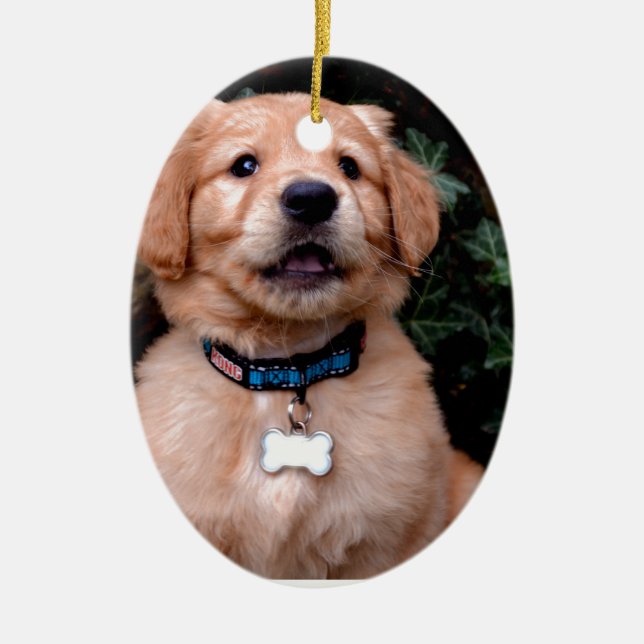 Golden Retriever Puppy Julgransprydnad Keramik (Framsidan)