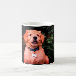 Golden Retriever Puppy Kaffemugg