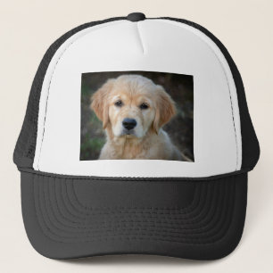 Golden Retriever Puppy Keps