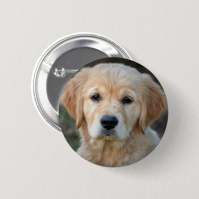 Golden Retriever Puppy Knapp (Framsida & baksida)