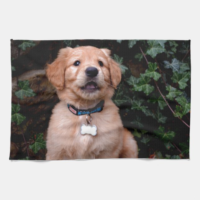 Golden Retriever Puppy Kökshandduk (Horisontell)