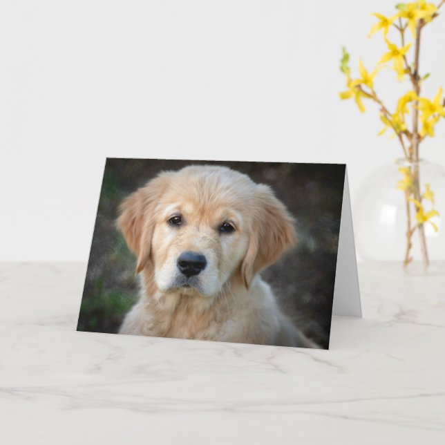 Golden Retriever Puppy Kort (Gul blomma)