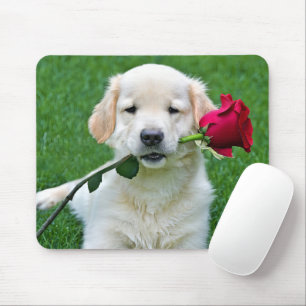 Golden Retriever Puppy med Röd ros Musmatta
